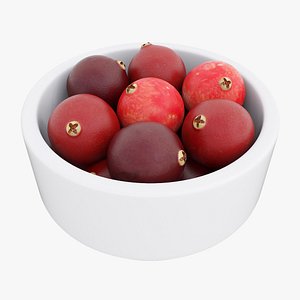 Cranberry bowl 3D model
