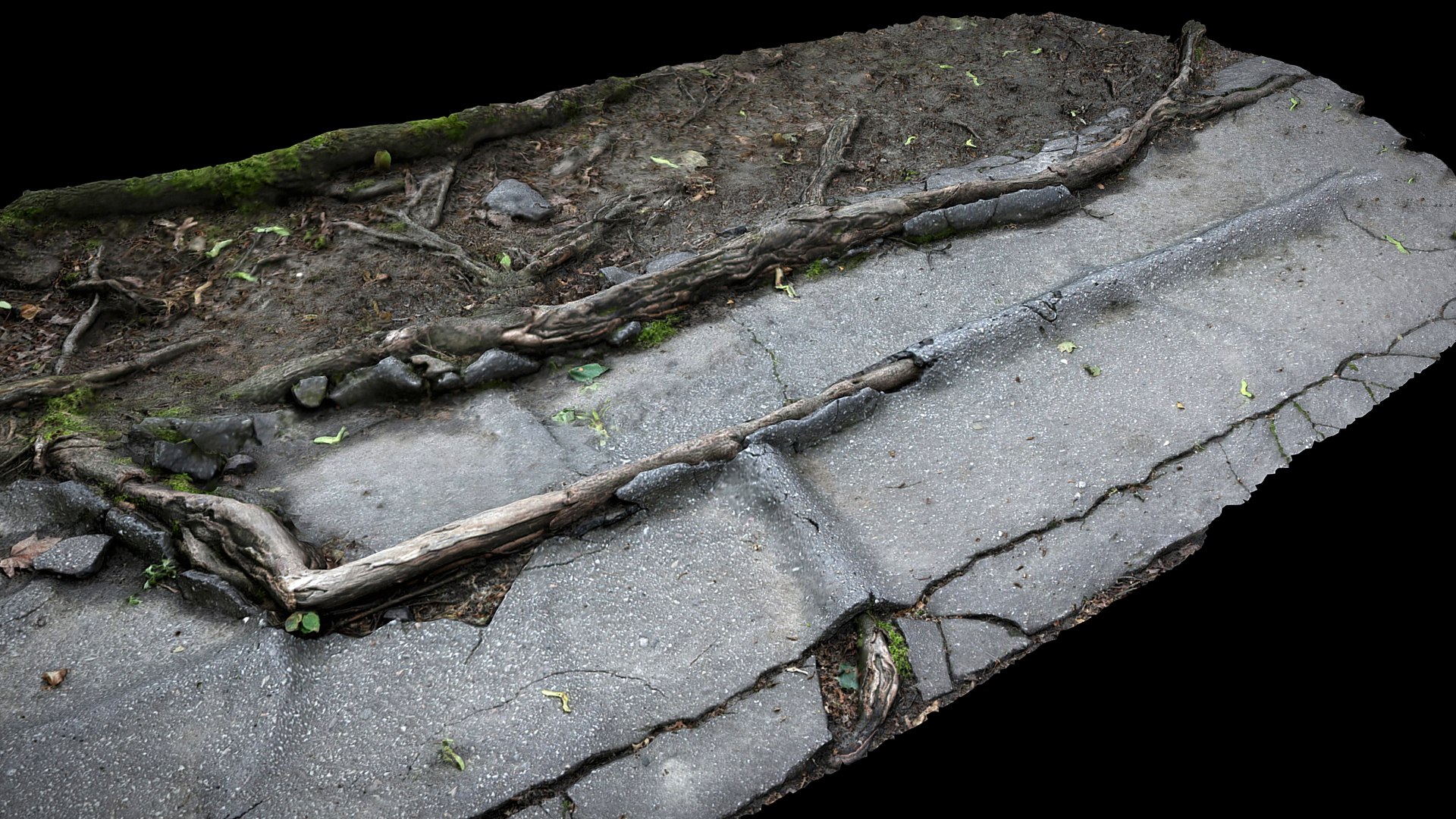 3D Roots Asphalt Damaged Road Part7 Photogrammetry - TurboSquid 2338077