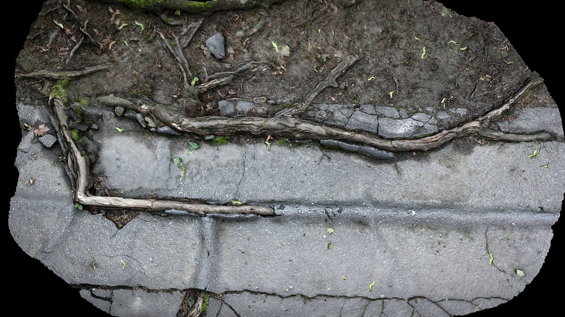 3D Roots Asphalt Damaged Road Part7 Photogrammetry - TurboSquid 2338077