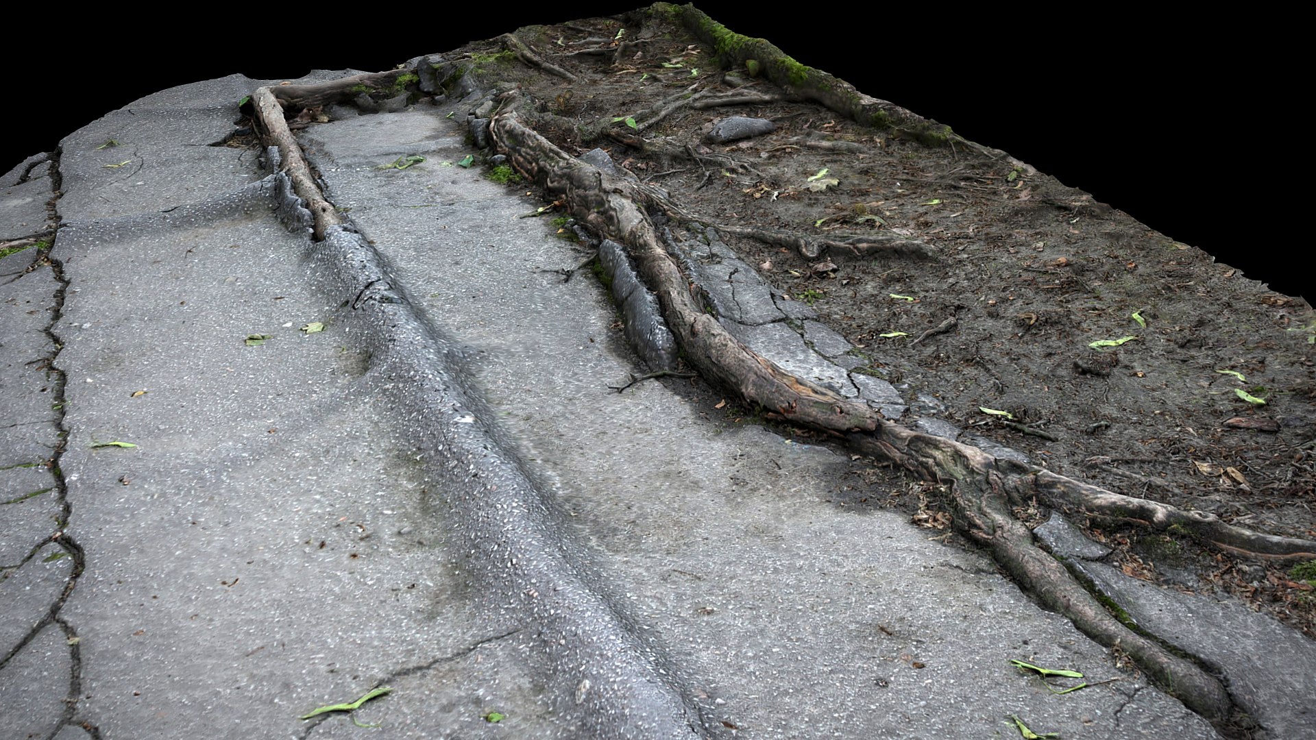 3D Roots Asphalt Damaged Road Part7 Photogrammetry - TurboSquid 2338077