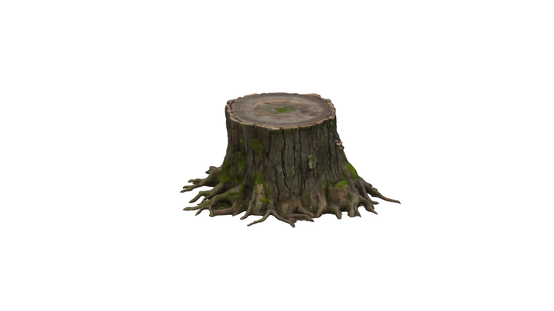 3D Realistic Tree Stump With Roots - TurboSquid 2518623