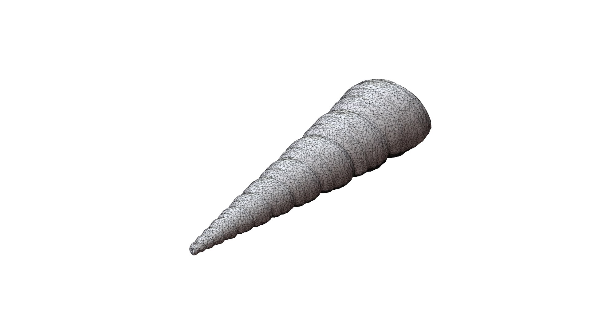 Seashell008 3D - TurboSquid 1784275