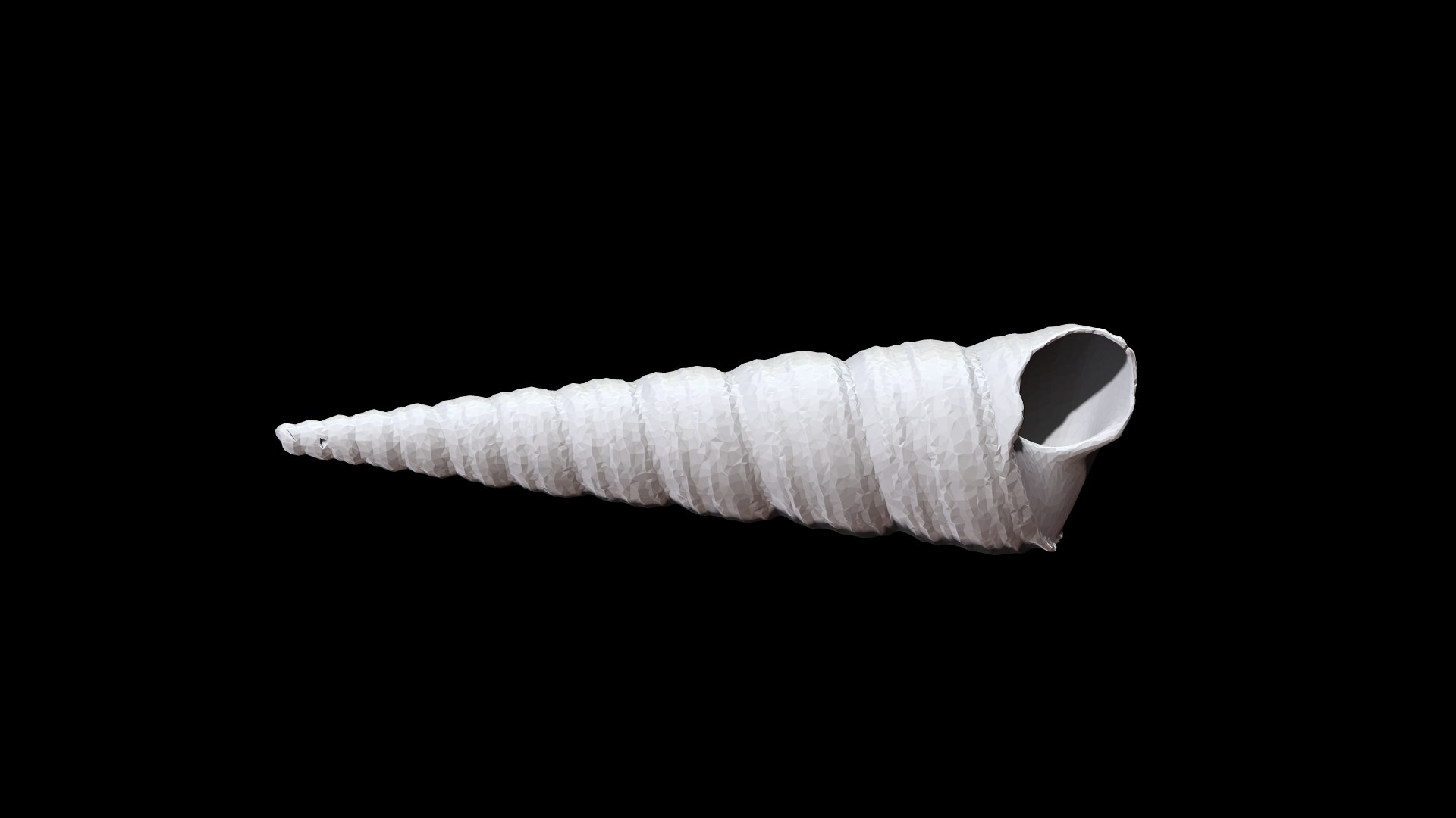 Seashell008 3D - TurboSquid 1784275