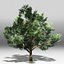 Tree pack