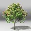 Tree pack