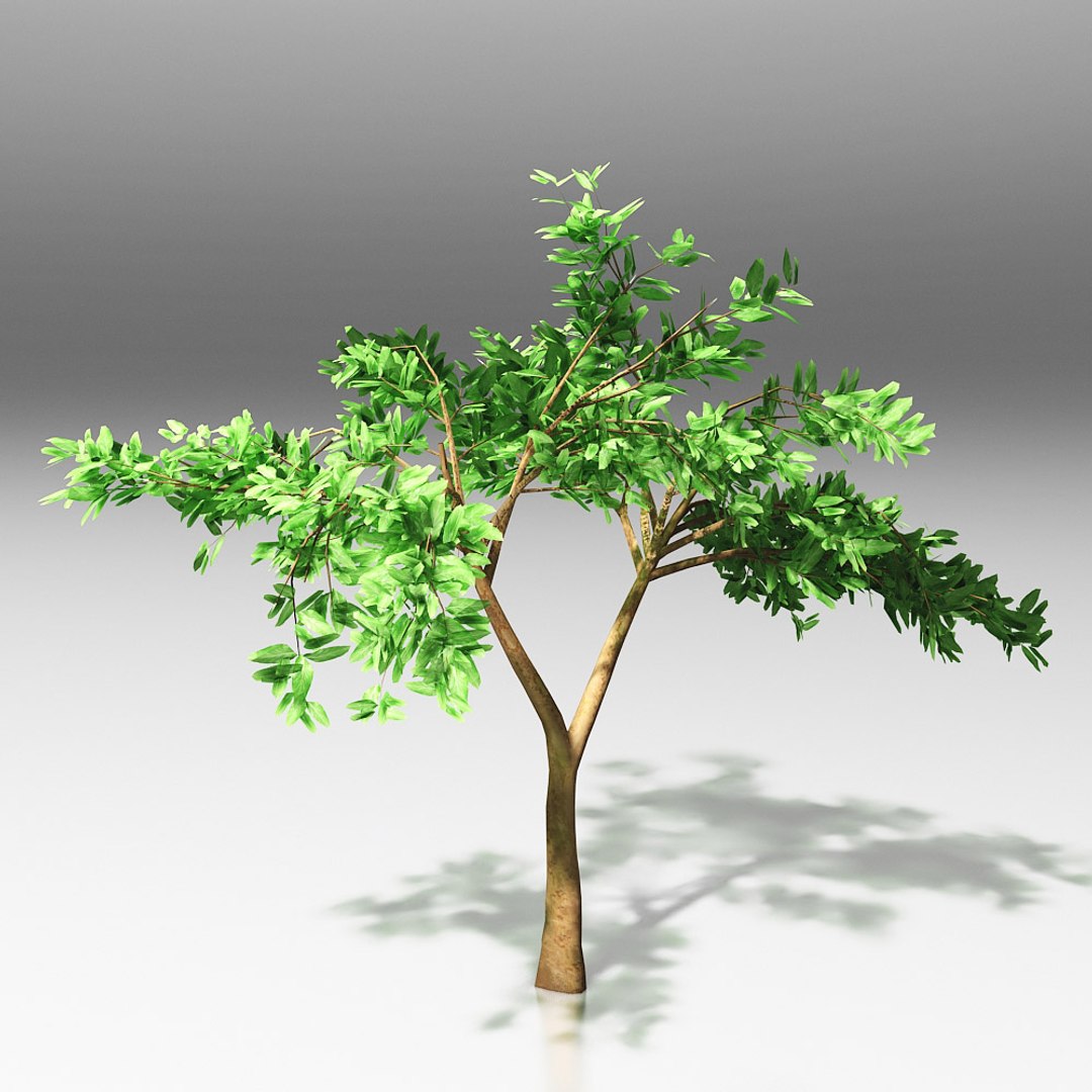 10 trees maple pine 3d max https://p.turbosquid.com/ts-thumb/Jh/nsQRgd/MyfnMPzh/tree_.rgb_color.00052/jpg/1428628747/1920x1080/fit_q87/8c0911c7fa395ba6e81692b28c49ef28918159fa/tree_.rgb_color.00052.jpg