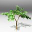 Tree pack