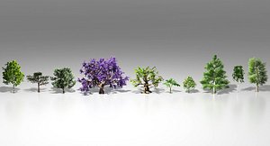 10 trees maple pine 3d max