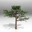 Tree pack
