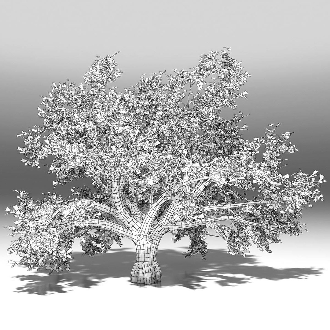 10 trees maple pine 3d max https://p.turbosquid.com/ts-thumb/Jh/nsQRgd/XUtjBGzs/jacarandawire/jpg/1428665693/1920x1080/fit_q87/4e84a728d4fc8d7c2fc86c70f9b1895f18519a90/jacarandawire.jpg