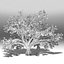 Tree pack