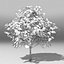 Tree pack