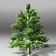 Tree pack
