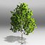 Tree pack