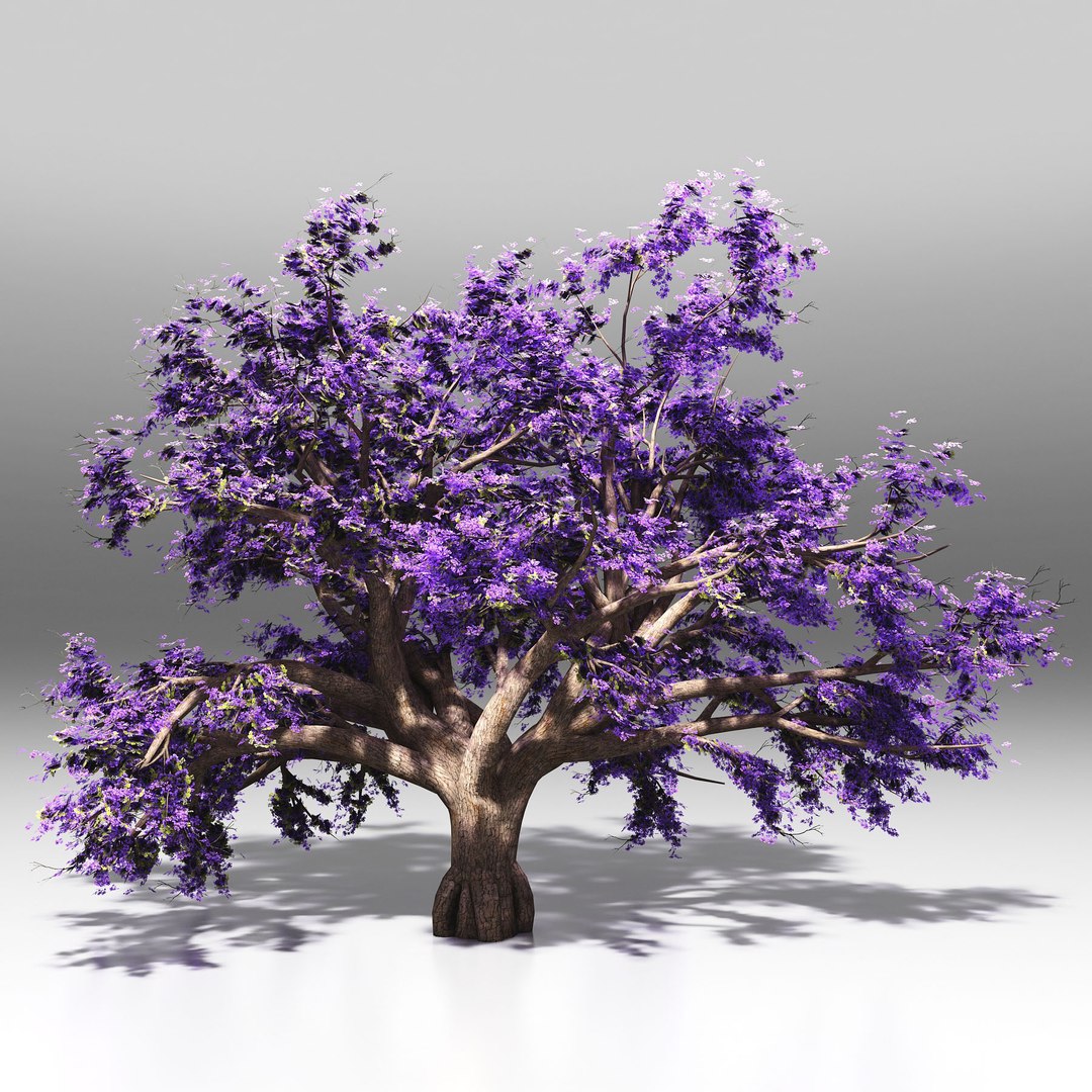 10 trees maple pine 3d max https://p.turbosquid.com/ts-thumb/Jh/nsQRgd/knfmfeJH/floweringjacarandalow/jpg/1428667830/1920x1080/fit_q87/863326d02a7e0eaba24451e63f115b0fc0addb73/floweringjacarandalow.jpg