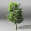 Tree pack
