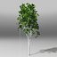 Tree pack