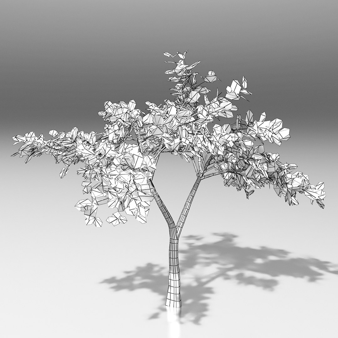 10 trees maple pine 3d max https://p.turbosquid.com/ts-thumb/Jh/nsQRgd/vlbMW1EK/tree_wire.rgb_color.0005/jpg/1428628747/1920x1080/fit_q87/aaa05d6250256d812937541c6d4b97d4c70fb9c5/tree_wire.rgb_color.0005.jpg