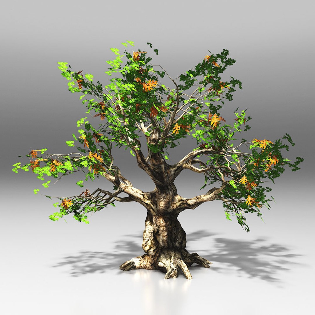 10 trees maple pine 3d max https://p.turbosquid.com/ts-thumb/Jh/nsQRgd/zkVlaAqP/tree_.rgb_color.0004/jpg/1428628747/1920x1080/fit_q87/1920629306e52657cedca7ac7457ff961fa1c809/tree_.rgb_color.0004.jpg