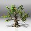 Tree pack