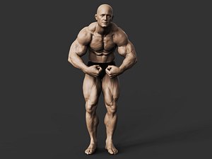 3D Bodybuilder-04 model