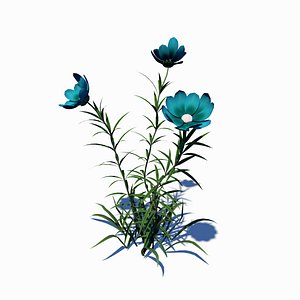 wild flower 3D model