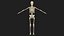 Esqueleto Humano - Rigged Animated Walk Run Loop