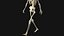 Esqueleto Humano - Rigged Animated Walk Run Loop