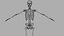Esqueleto Humano - Rigged Animated Walk Run Loop