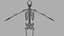 Esqueleto Humano - Rigged Animated Walk Run Loop