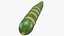 Fresh Green Zucchini Slices