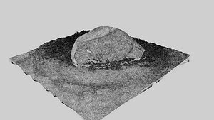 3D Rock Photogrammetry FBX model