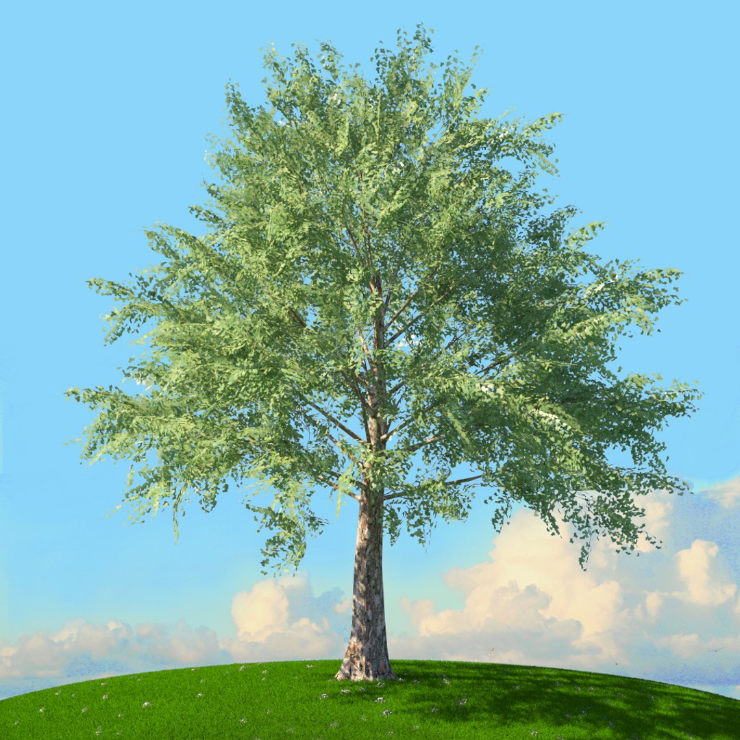 trees spring 3D model https://p.turbosquid.com/ts-thumb/Ji/GBNEWX/AoUIdiEd/15/jpg/1606307026/1920x1080/fit_q87/3f7f026942dccfc8e7389dc2178abee99561f2c8/15.jpg