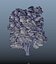 trees spring 3D model