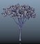 trees spring 3D model