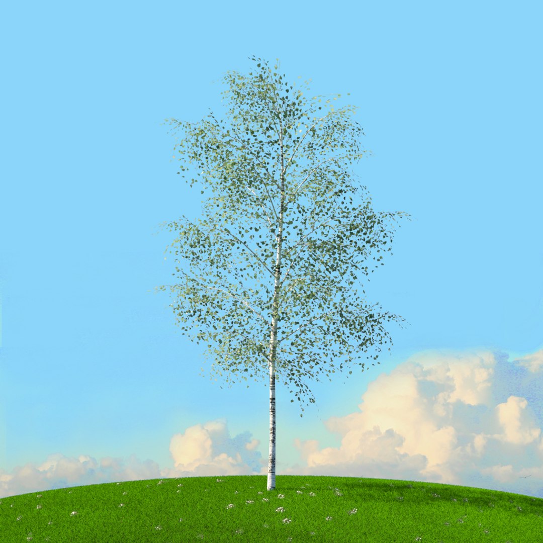 trees spring 3D model https://p.turbosquid.com/ts-thumb/Ji/GBNEWX/I7hTNgS7/08/jpg/1606301169/1920x1080/fit_q87/ecf1f7fd4c8a90be6bd1c521222dfb0caf7fcea1/08.jpg