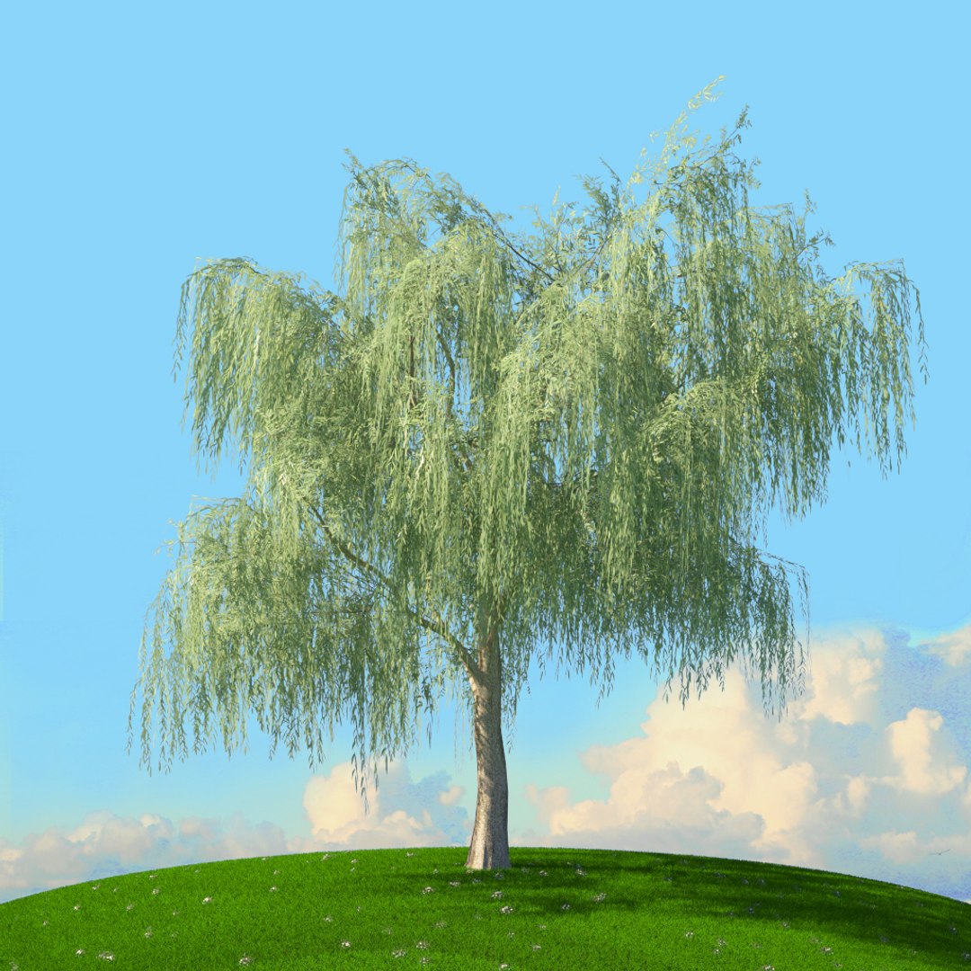 trees spring 3D model https://p.turbosquid.com/ts-thumb/Ji/GBNEWX/TWgMLNQ4/20/jpg/1606307271/1920x1080/fit_q87/6f09f013d47c354d30d98c3870968df48f59d1c1/20.jpg