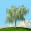 trees spring 3D model