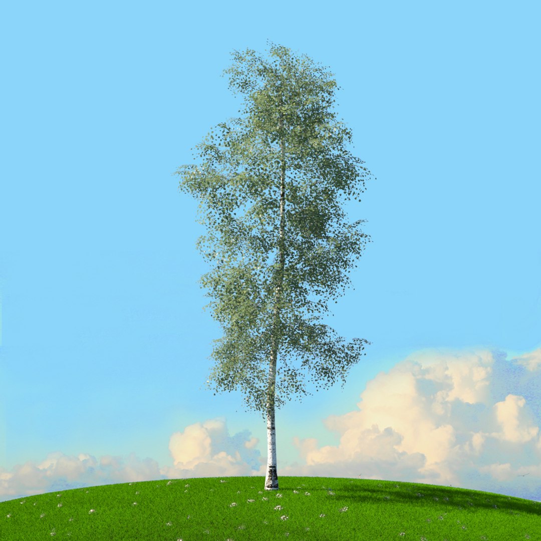 trees spring 3D model https://p.turbosquid.com/ts-thumb/Ji/GBNEWX/UTKSOP9X/09/jpg/1606306792/1920x1080/fit_q87/40a42730d26ec94369004d017926831701146e5b/09.jpg