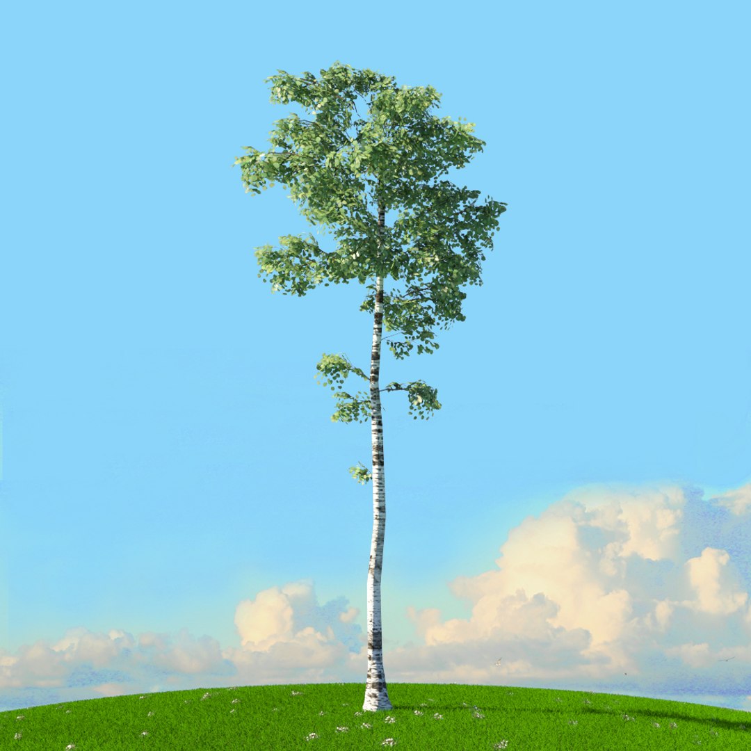 trees spring 3D model https://p.turbosquid.com/ts-thumb/Ji/GBNEWX/YYH7kwlr/11/jpg/1606306818/1920x1080/fit_q87/381f4aad7c9c1807107bb67bff5565879ca4d54e/11.jpg