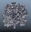 trees spring 3D model