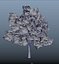trees spring 3D model