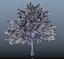 trees spring 3D model