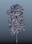trees spring 3D model