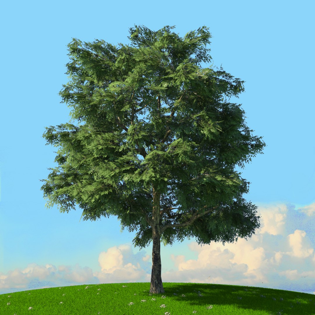 trees spring 3D model https://p.turbosquid.com/ts-thumb/Ji/GBNEWX/oKErdRaC/03/jpg/1606301108/1920x1080/fit_q87/9a2a7223c90bae95a5ea235ab3dcbc1a3f8da6d3/03.jpg