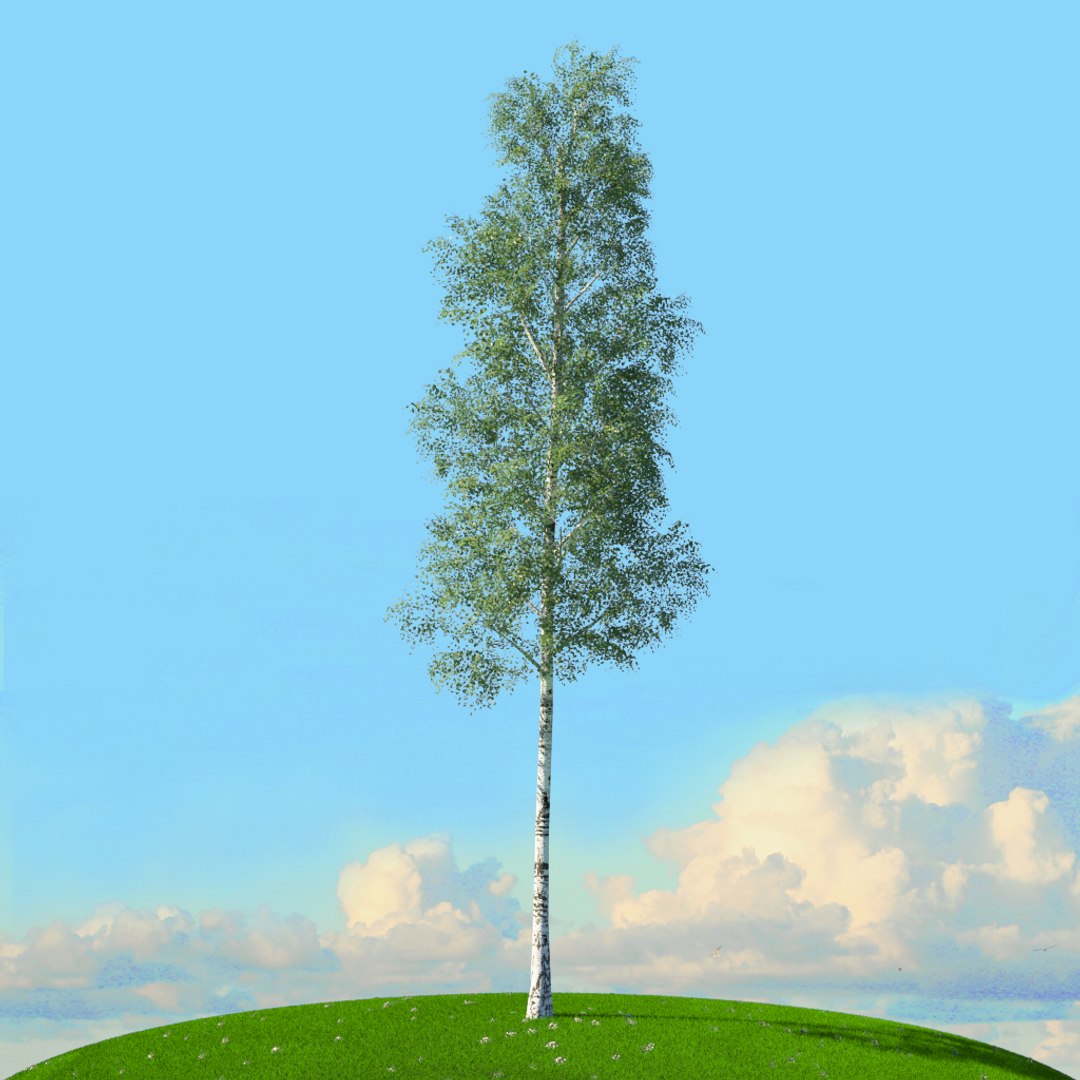 trees spring 3D model https://p.turbosquid.com/ts-thumb/Ji/GBNEWX/rGAliPV4/10/jpg/1606306804/1920x1080/fit_q87/3298f3e2230a62bbaacb41c90246a63b73128391/10.jpg