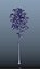 trees spring 3D model
