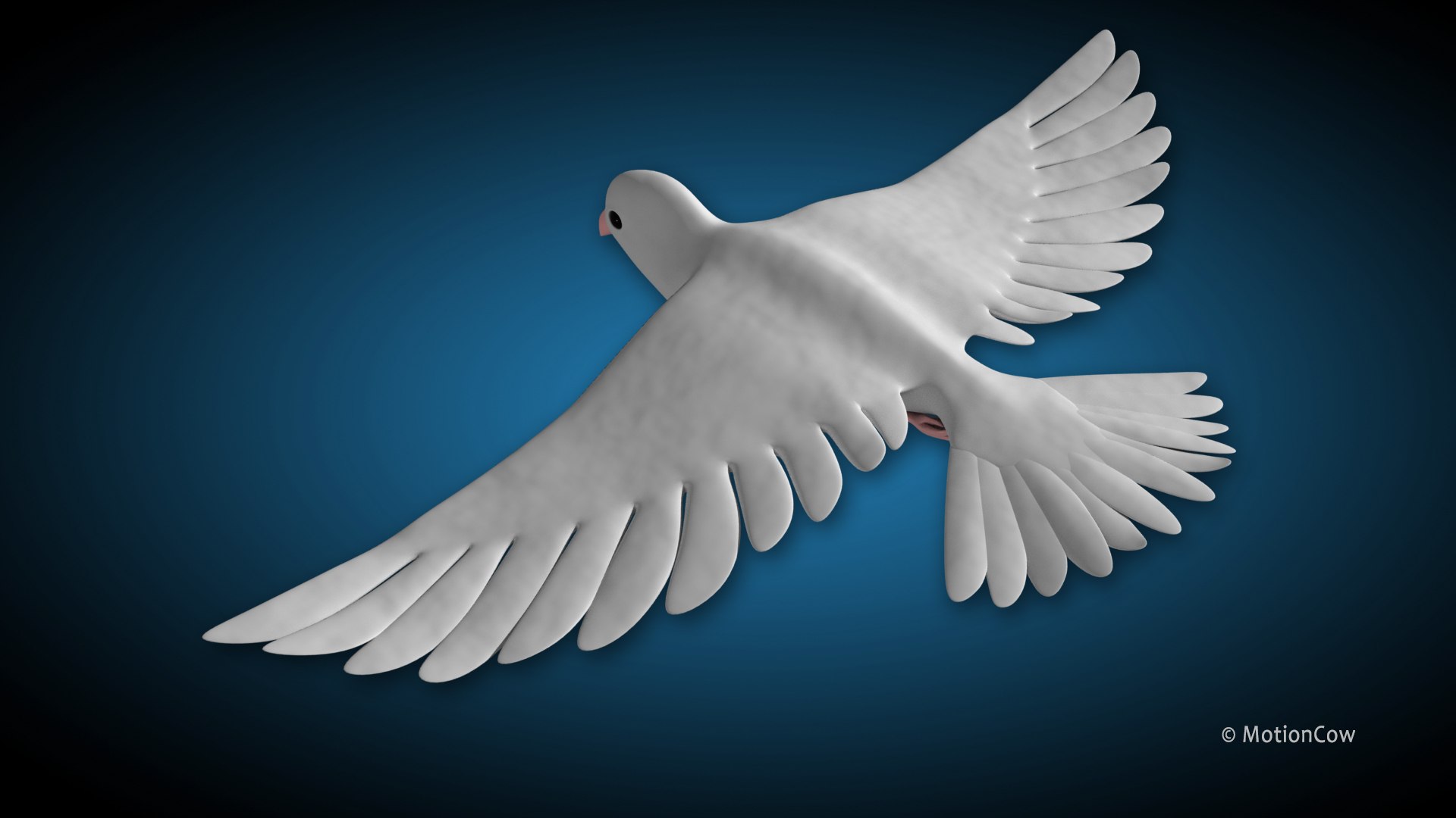 white dove bird 3d model https://p.turbosquid.com/ts-thumb/Ji/SpaiSX/RC/hd_dove_g1/jpg/1693203387/1920x1080/fit_q87/0ab80c5e227beb8715f1571c2f1a8f87155fd045/hd_dove_g1.jpg