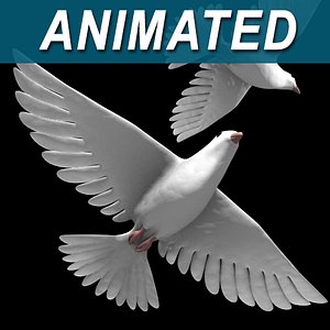 white dove bird 3d model