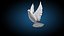 White Dove Bird